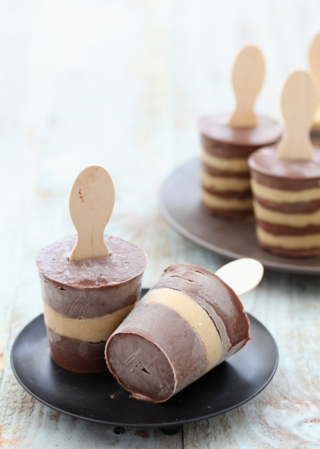 Chocolate and Salted Caramel Pudding Pops