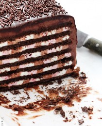 Neapolitan Icebox Cake by Bakers Royale 210x260