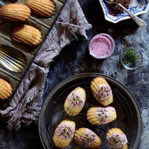 Lime and Hibiscus Madeleines