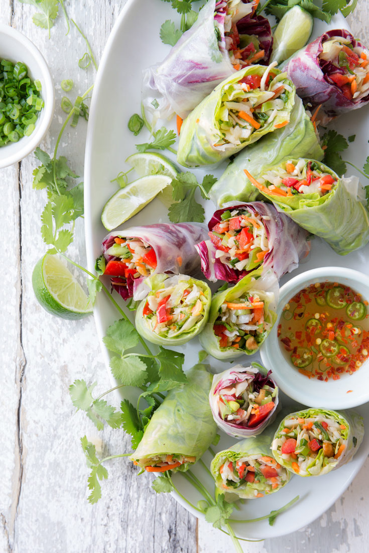 Chinese Salad Spring Rolls